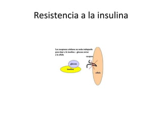 Resistencia a la insulina 