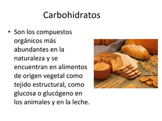 Son los compuestos orgánicos más abundantes en la naturaleza y se encuentran en alimentos de origen vegetal como tejido estructural, como glucosa o glucógeno en los animales y en la leche. Carbohidratos  