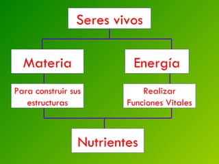 Seres vivos Materia Energía Para construir sus estructuras Realizar Funciones Vitales Nutrientes 