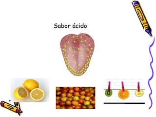 Sabor ácido 