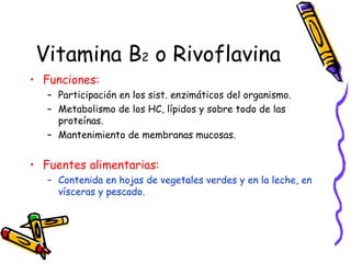 Vitamina B 2  o Rivoflavina Funciones: Participación en los sist. enzimáticos del organismo. Metabolismo de los HC, lípidos y sobre todo de las proteínas. Mantenimiento de membranas mucosas. Fuentes alimentarias: Contenida en hojas de vegetales verdes y en la leche, en vísceras y pescado. 