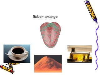Sabor amargo 