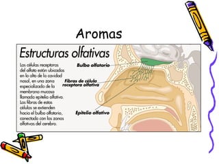 Aromas 