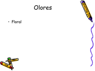 Olores Floral 
