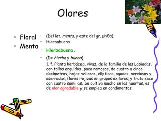 Olores Floral Menta (Del lat.  menta,  y este del gr. μίνθα). Hierbabuena Hierbabuena . (De  hierba  y  buena ). 1. f. Planta herbácea, vivaz, de la familia de las Labiadas, con tallos erguidos, poco ramosos, de cuatro a cinco decímetros, hojas vellosas, elípticas, agudas, nerviosas y aserradas, flores rojizas en grupos axilares, y fruto seco con cuatro semillas. Se cultiva mucho en las huertas, es de  olor agradable  y se emplea en condimentos. 