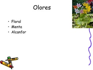 Olores Floral Menta Alcanfor 