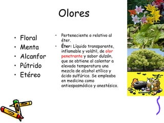 Olores Floral Menta Alcanfor Pútrido Etéreo Perteneciente o relativo al éter. Éter:  Líquido transparente, inflamable y volátil, de  olor   penetrante  y sabor dulzón, que se obtiene al calentar a elevada temperatura una mezcla de alcohol etílico y ácido sulfúrico. Se empleaba en medicina como antiespasmódico y anestésico. 