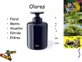 Olores Floral Menta Alcanfor Pútrido Etéreo Perteneciente o relativo al éter. Éter:  Líquido transparente, inflamable y volátil, de olor penetrante y sabor dulzón, que se obtiene al calentar a elevada temperatura una mezcla de alcohol etílico y ácido sulfúrico. Se empleaba en medicina como antiespasmódico y anestésico. Éter 