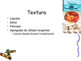 Textura Líquidos Geles Fibrosos Agregados de células turgentes Liberan líquidos durante la masticación 