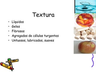 Textura Líquidos Geles Fibrosos Agregados de células turgentes Untuosos, lubricados, suaves 