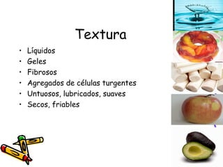 Textura Líquidos Geles Fibrosos Agregados de células turgentes Untuosos, lubricados, suaves Secos, friables 
