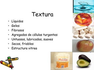 Textura Líquidos Geles Fibrosos Agregados de células turgentes Untuosos, lubricados, suaves Secos, friables Estructura vitrea 