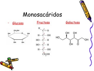 Monosacáridos Glucosa Fructosa Galactosa 