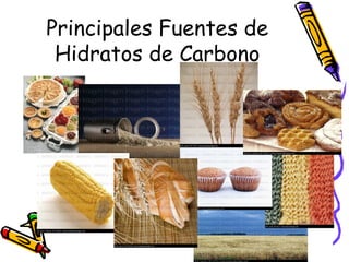 Principales Fuentes de Hidratos de Carbono 