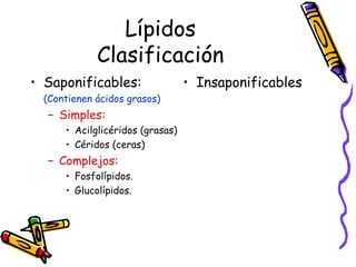 Lípidos Clasificación Saponificables:  (Contienen ácidos grasos) Simples: Acilglicéridos (grasas) Céridos (ceras) Complejos: Fosfolípidos. Glucolípidos. Insaponificables 