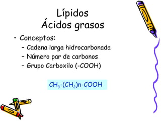 Lípidos Ácidos grasos Conceptos:  Cadena larga hidrocarbonada  Número par de carbonos Grupo Carboxilo (-COOH) CH 3 -(CH 2 )n-COOH 