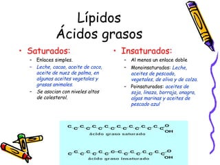 Lípidos Ácidos grasos Saturados: Enlaces simples. Leche, cacao, aceite de coco, aceite de nuez de palma, en algunos aceites vegetales y grasas animales.  Se asocian con niveles altos de colesterol. Insaturados: Al menos un enlace doble Monoinsaturados:  Leche,   aceites de pescado, vegetales, de oliva y de colza. Poinsaturados:  aceites de soja, linaza, borraja, onagra, algas marinas y aceites de pescado azul 