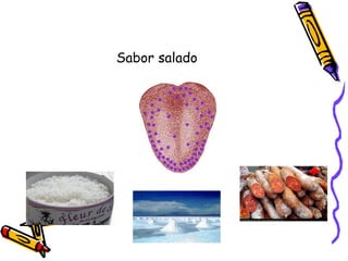 Sabor salado 