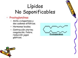 Lípidos No Saponificables Prostaglandinas Anillo ciclopentano y dos cadenas alifáticas.  Hormonas locales. Contracción uterina; coagulación; fiebre; reducción jugos gásticos;  