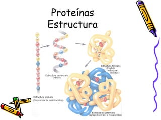 Proteínas Estructura 