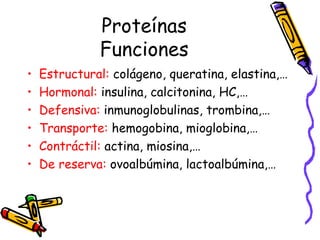 Proteínas Funciones Estructural:  colágeno, queratina, elastina,… Hormonal:  insulina, calcitonina, HC,… Defensiva:  inmunoglobulinas, trombina,… Transporte:  hemogobina, mioglobina,… Contráctil:  actina, miosina,… De reserva:  ovoalbúmina, lactoalbúmina,… 