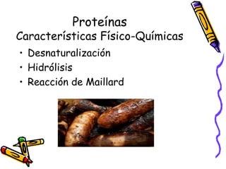 Proteínas Características Físico-Químicas Desnaturalización Hidrólisis Reacción de Maillard 