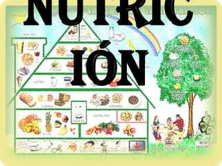 Nutric
 ión
 