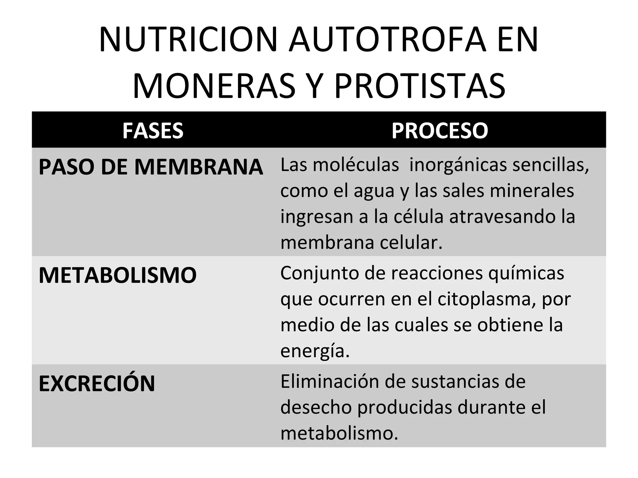 Nutrición | PPT