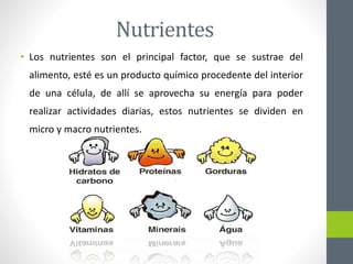 Nutrientes
• Los nutrientes son el principal factor, que se sustrae del
alimento, esté es un producto químico procedente d...