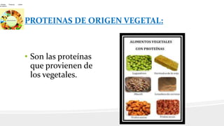 PROTEINAS DE ORIGEN VEGETAL:
• Son las proteínas
que provienen de
los vegetales.
 
