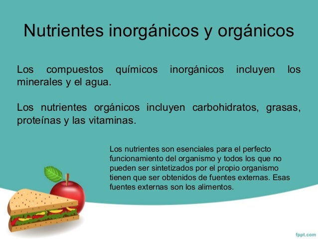 Nutrición