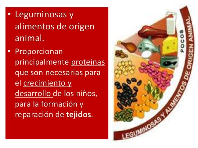 Plato Del Buen Comer Leguminosas Slubne Suknie Info