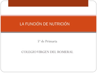 5º de Primaria
COLEGIOVIRGEN DEL ROMERAL
LA FUNCIÓN DE NUTRICIÓN
 