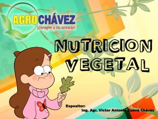 VEGETAL
nutricion
Expositor:
Ing. Agr. Víctor Antonio Cueva Chávez
 