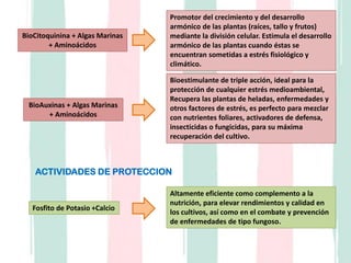 BioCitoquinina + Algas Marinas
+ Aminoácidos
Promotor del crecimiento y del desarrollo
armónico de las plantas (raíces, tallo y frutos)
mediante la división celular. Estimula el desarrollo
armónico de las plantas cuando éstas se
encuentran sometidas a estrés fisiológico y
climático.
BioAuxinas + Algas Marinas
+ Aminoácidos
Bioestimulante de triple acción, ideal para la
protección de cualquier estrés medioambiental,
Recupera las plantas de heladas, enfermedades y
otros factores de estrés, es perfecto para mezclar
con nutrientes foliares, activadores de defensa,
insecticidas o fungicidas, para su máxima
recuperación del cultivo.
ACTIVIDADES DE PROTECCION
Fosfito de Potasio +Calcio
Altamente eficiente como complemento a la
nutrición, para elevar rendimientos y calidad en
los cultivos, así como en el combate y prevención
de enfermedades de tipo fungoso.
 