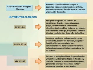 Calcio + Potasio + Nitrógeno
+ Magnesio
Previene la proliferación de hongos y
bacterias, haciendo más resistente al fruto,
evitando rajaduras y fortaleciendo el cuajado
y formación de semillas
NUTRIENTES CLASICOS
NPK 11.8.6
Recupera el vigor de los cultivos en
condiciones de estrés como ataques de
plagas, enfermedades o condiciones
climáticas desfavorables, fortalece los estados
iniciales como almacigo, trasplantes, siembras
directas, crecimiento y desarrollo del cultivo.
NPK 20.20.20
Nutriente ideal para todo propósito como
crecimiento, desarrollo, floración, cuajado y
fructificación, recomendado para
complementar las deficiencias nutricionales
del suelo activando el balance nutricional de
los cultivos.
NPK 1.25.45
Estimula la multiplicación de órganos florales
y fructíferos, ideal para etapas de floración y
cuajado, favorece la maduración homogénea,
generando un mejor llenado de frutos y
mejorando su sabor, aroma y color.
 