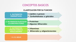 CONCEPTOS BASICOS
CLASIFICACION POR SU FUNCION
 