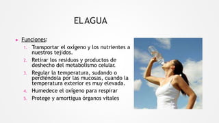 ELAGUA
▶ Funciones:
1. Transportar el oxígeno y los nutrientes a
nuestros tejidos.
2. Retirar los residuos y productos de
deshecho del metabolismo celular.
3. Regular la temperatura, sudando o
perdiéndola por las mucosas, cuando la
temperatura exterior es muy elevada.
4. Humedece el oxígeno para respirar
5. Protege y amortigua órganos vitales
 