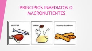 PRINCIPIOS INMEDIATOS O
MACRONUTIENTES
 