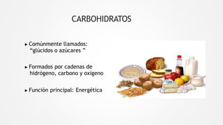 CARBOHIDRATOS
▶ Comúnmente llamados:
“glúcidos o azúcares ”
▶ Formados por cadenas de
hidrógeno, carbono y oxígeno
▶ Función principal: Energética
 