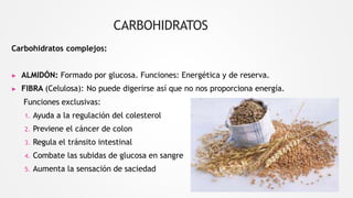 CARBOHIDRATOS
Carbohidratos complejos:
▶ ALMIDÓN: Formado por glucosa. Funciones: Energética y de reserva.
▶ FIBRA (Celulosa): No puede digerirse así que no nos proporciona energía.
Funciones exclusivas:
1. Ayuda a la regulación del colesterol
2. Previene el cáncer de colon
3. Regula el tránsito intestinal
4. Combate las subidas de glucosa en sangre
5. Aumenta la sensación de saciedad
 