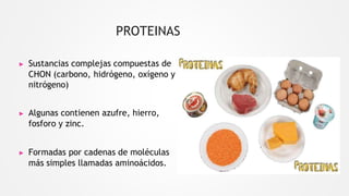 PROTEINAS
▶ Sustancias complejas compuestas de
CHON (carbono, hidrógeno, oxígeno y
nitrógeno)
▶ Algunas contienen azufre, hierro,
fosforo y zinc.
▶ Formadas por cadenas de moléculas
más simples llamadas aminoácidos.
 