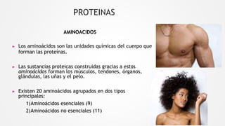 PROTEINAS
AMINOACIDOS
▶ Los aminoácidos son las unidades químicas del cuerpo que
forman las proteínas.
▶ Las sustancias proteicas construidas gracias a estos
aminoácidos forman los músculos, tendones, órganos,
glándulas, las uñas y el pelo.
▶ Existen 20 aminoácidos agrupados en dos tipos
principales:
1)Aminoácidos esenciales (9)
2)Aminoácidos no esenciales (11)
 