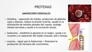 PROTEINAS
AMINOÁCIDOS ESENCIALES:
1) Histidina.- reparación de tejidos, producción de glóbulos
rojos y blancos, reduce la presión arterial, ayuda en la
eliminación de metales pesados del cuerpo, protege
células nerviosas y ayuda a la excitación sexual.
2) Isoleucina.- estabiliza la glucosa en la sangre, ayuda a la
curación y la reparación del tejido muscular, piel y huesos.
3) Leucina.- (igual que la Isoleucina) + Promueve la
producción de hormona del crecimiento.
 