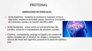 PROTEINAS
AMINOACIDOS NO ESENCIALES
3) Ácido Aspártico.- aumenta la resistencia muscular, evita la
depresión, mejora la actividad celular, facilita la circulación
de minerales, ayuda a la función del ARN y ADN.
4) Ácido Glutámico.- actúa como un neurotransmisor del
cerebro, actúa en el metabolismo de azúcares y grasas.
5) Cisteína.- antioxidante, protege el hígado y el cerebro de
daños causados por el alcohol, las drogas y compuestos
tóxicos del humo del cigarrillo, promueve la salud de cabello y
piel.
 