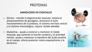 PROTEINAS
AMINOACIDOS NO ESENCIALES
6) Glicina.- retarda la degeneración muscular, mejora el
almacenamiento de glucógeno, promueve el buen
funcionamiento de la próstata, el sistema nervioso central
y el sistema inmunológico, reparar tejidos dañados.
7) Glutamina.- ayuda a construir y mantener el tejido
muscular, que aumenta la función cerebral y la actividad
mental, ayuda a mantener el equilibrio del ácido alcalino
en el cuerpo, efecto protector contra esquizofrenia y la
demencia.
 