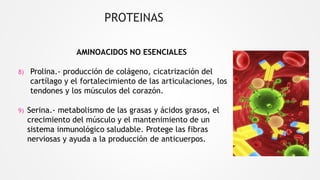 PROTEINAS
AMINOACIDOS NO ESENCIALES
8) Prolina.- producción de colágeno, cicatrización del
cartílago y el fortalecimiento de las articulaciones, los
tendones y los músculos del corazón.
9) Serina.- metabolismo de las grasas y ácidos grasos, el
crecimiento del músculo y el mantenimiento de un
sistema inmunológico saludable. Protege las fibras
nerviosas y ayuda a la producción de anticuerpos.
 
