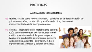 PROTEINAS
AMINOACIDOS NO ESENCIALES
10) Taurina.- actúa como neurotransmisor, participa en la detoxificación de
químicos extraños, producción y acción de la bilis, favorece el
aprovechamiento de la energía muscular.
11) Tirosina.- interviene en el metabolismo general,
actúa como un elevador del humor, suprime el
apetito y ayuda a reducir la grasa corporal.
Ayuda en la producción de melanina, previene
fatiga crónica, ansiedad, depresión, el bajo
impulso sexual, alergias y dolores de cabeza.
 