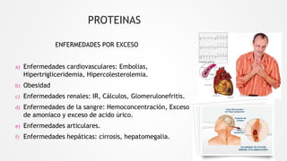 ENFERMEDADES POR EXCESO
a) Enfermedades cardiovasculares: Embolias,
Hipertrigliceridemia, Hipercolesterolemia.
b) Obesidad
c) Enfermedades renales: IR, Cálculos, Glomerulonefritis.
d) Enfermedades de la sangre: Hemoconcentración, Exceso
de amoniaco y exceso de acido úrico.
e) Enfermedades articulares.
f) Enfermedades hepáticas: cirrosis, hepatomegalia.
PROTEINAS
 