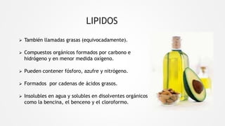LIPIDOS
 También llamadas grasas (equivocadamente).
 Compuestos orgánicos formados por carbono e
hidrógeno y en menor medida oxígeno.
 Pueden contener fósforo, azufre y nitrógeno.
 Formados por cadenas de ácidos grasos.
 Insolubles en agua y solubles en disolventes orgánicos
como la bencina, el benceno y el cloroformo.
 